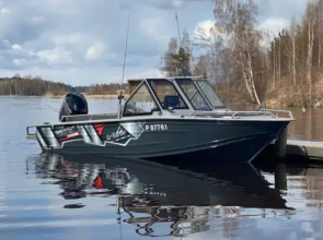 Villa Niemelä
