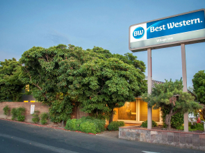 Best Western Village Inn