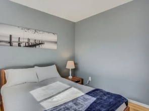 Colorado Springs Uccs Grey Cottagedog Friendly!