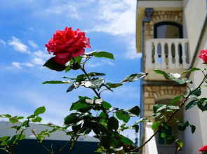 Apartment With 2 Bedrooms in Tivat, With Wonderful Mountain View, Furn