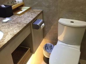 The South China Hotel