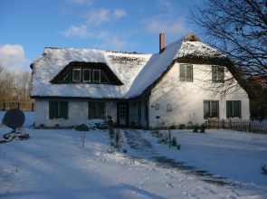 Bernsteinchen