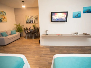 Suites and Art
