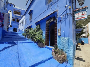 aline hostel