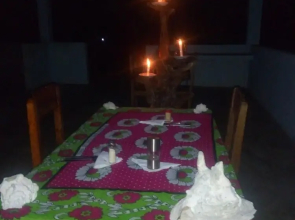 Mangrove Beach Bungalows