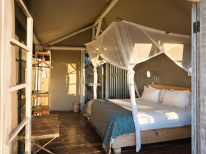 Anderssons at Ongava