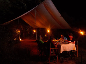 Big Game - Wilpattu by Eco Team