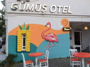 Gumus Hotel