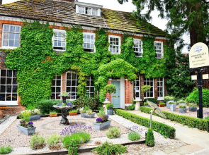 Springwells