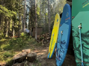 Вили Улей Карелия