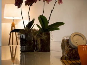 Filippini Flat