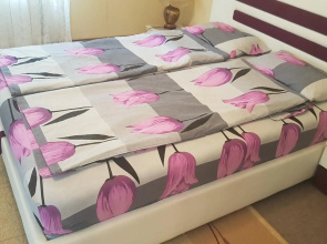 Amy Apartman