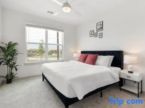 Large & Lively Apt