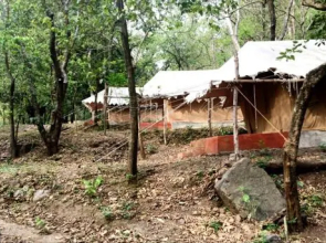 Camp Leopard Heights