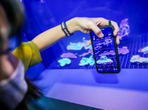 Resorts World Sentosa - Equarius Hotel