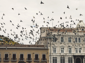 Hostal Loro Verde