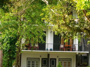 Ella Forest Paradise Hotel
