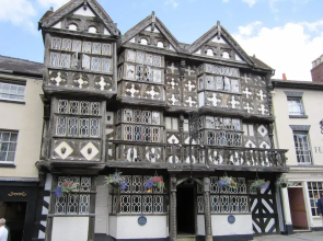 The Feathers Hotel