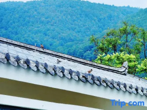 Dali Xiaoshanqing Holiday Villa