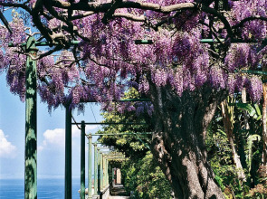 Grand Hotel Excelsior Vittoria