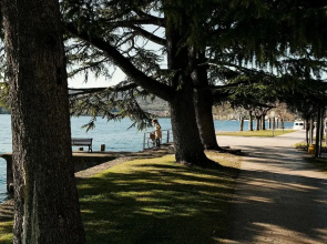 Alma - Near Lake in Sal