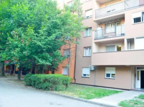 Apartment Mikela