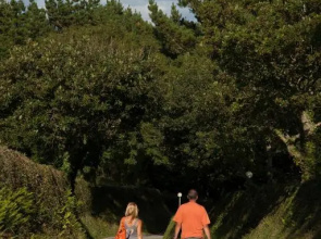 Wooda Farm Holidays