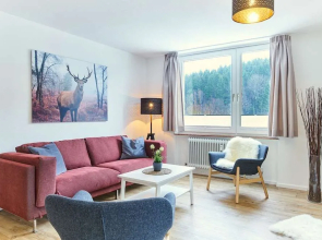 Apartment Winterberg - Stylish