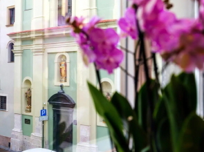 CracWoW St. Thomas Apartment