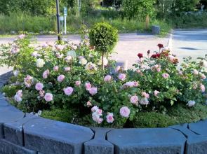 Villa Jokivarsi Bed & Breakfast
