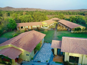 Asiatic Lion Lodge