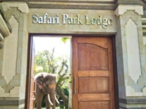Mason Elephant Lodge