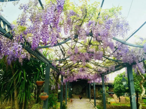 San Paolo B&B