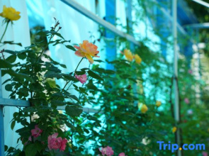 Yilan• Central Asia-Europe-Africa Ring Youth Hostel