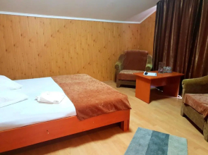 Pension Valea Negrasului
