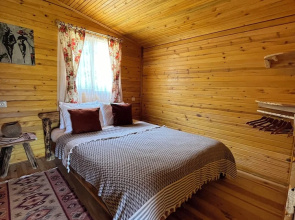 Afera Koy Evi
