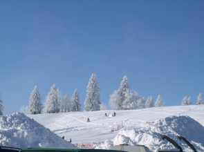 Modern Apartment on the 1st Floor at the Foot of the Feldberg with Use of Garden