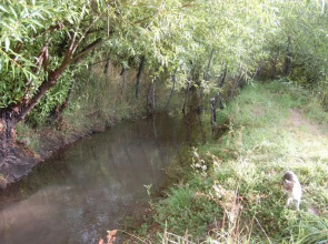 La Estancia