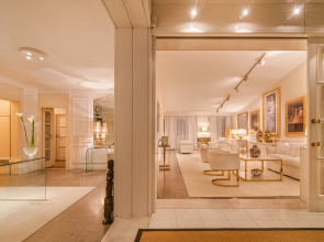 Luxury Stylish Penthouse