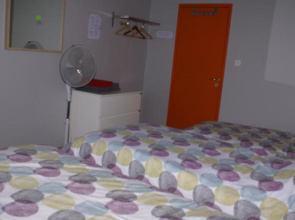 B&B Gekko