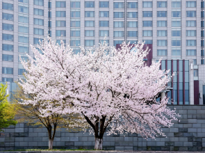 Kempinski Hotel Suzhou