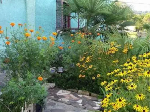 Room In 150M From Beach