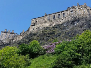 The Wee Thistle
