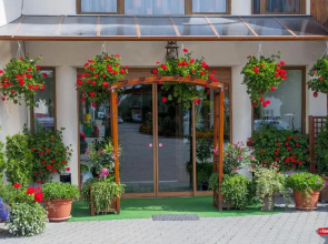 Hotel Cosmos