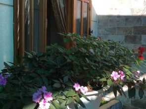 Phan Chuong Hotel Bao Loc
