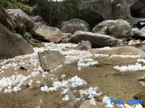 Xinghegu Ecological Resort