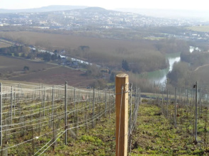 Le Saint Vincent