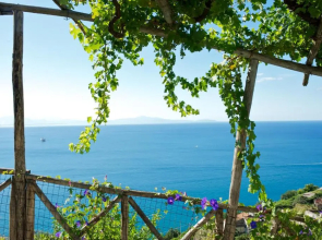 Sopra il Limoneto