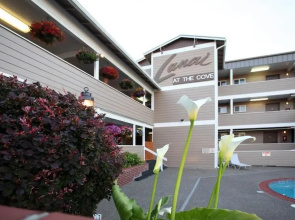 Lanai at the Cove