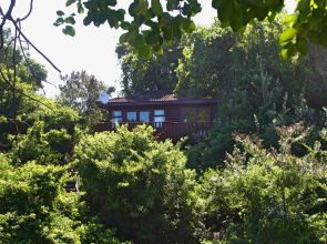 Mtunzini Forest Lodge